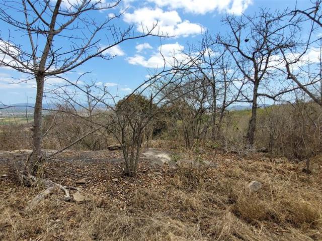 Farm for sale in Ehlanzeni, Mpumalanga