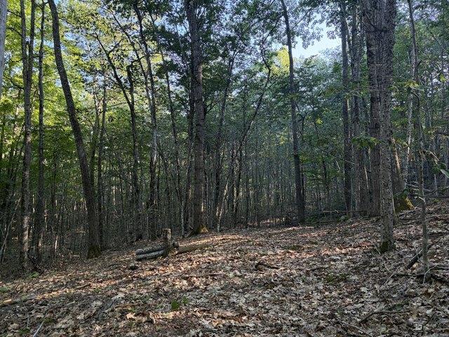 Land for sale in Waldo, Maine