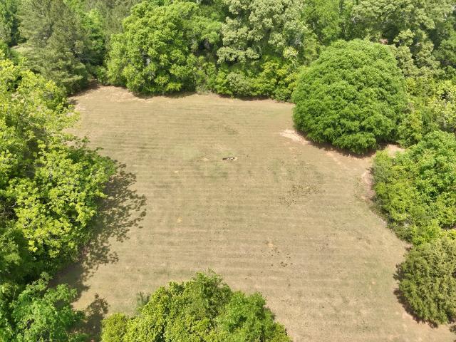 Land for sale in Geneva, Alabama
