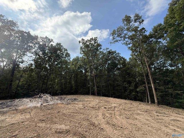 Land for sale in Guntersville, Alabama