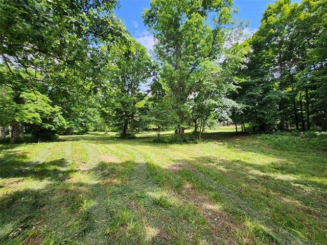 Land for sale in Birchwood, Wisconsin