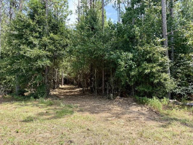 Land for sale in Coffee Springs, Geneva County