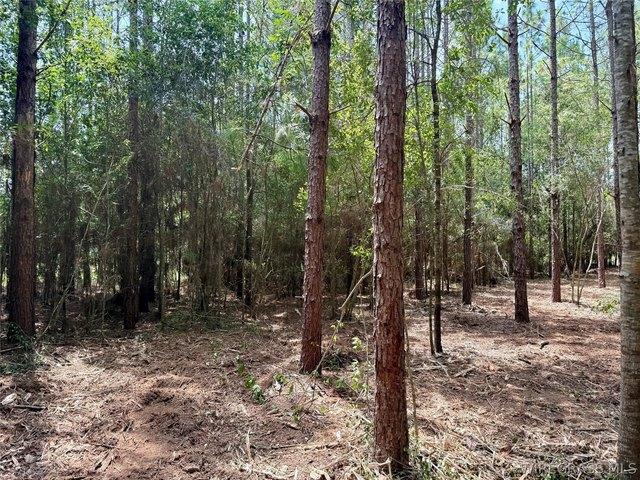 Land for sale in Coffee Springs, Geneva County