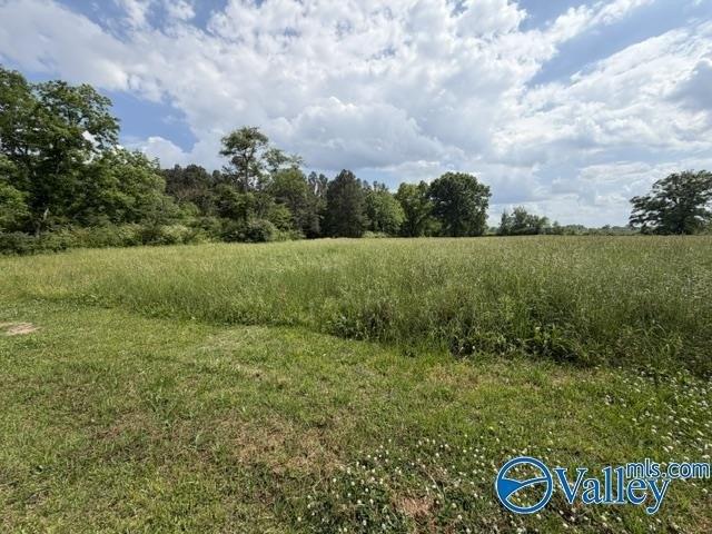Land for sale in Etowah, Alabama