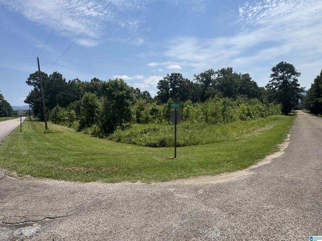 Land for sale in Piedmont, Alabama