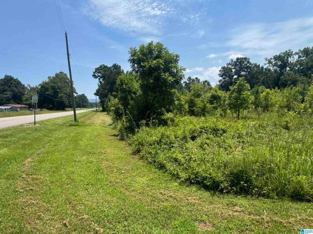 Land for sale in Piedmont, Alabama