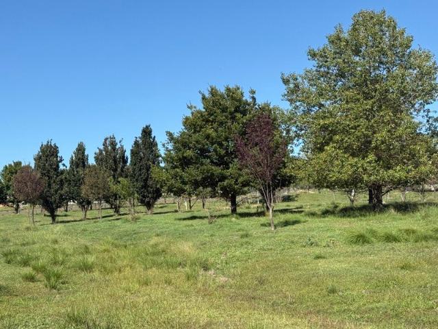 Land for sale in Braidwood, New South Wales