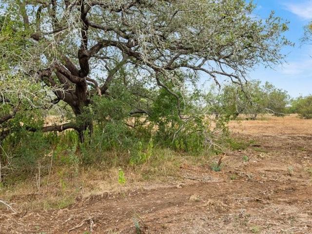 Farm for sale in Nixon, Texas