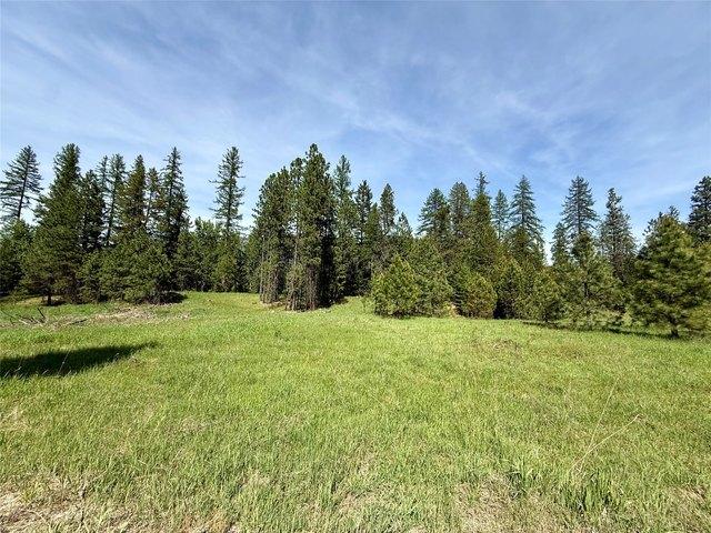 Land for sale in Sanders, Montana