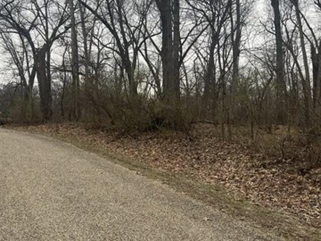 Land for sale in Putnam, Illinois