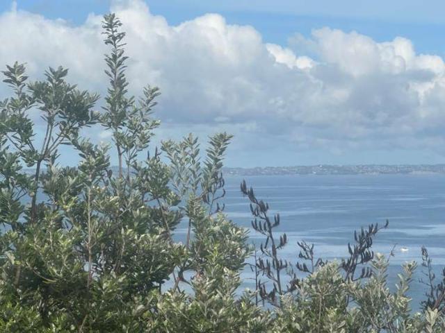 Land for sale in Auckland, Oroua County