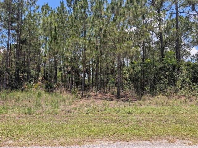 Land for sale in Indian Lake Estates, Florida