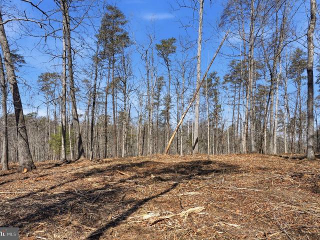 Land for sale in Virginia