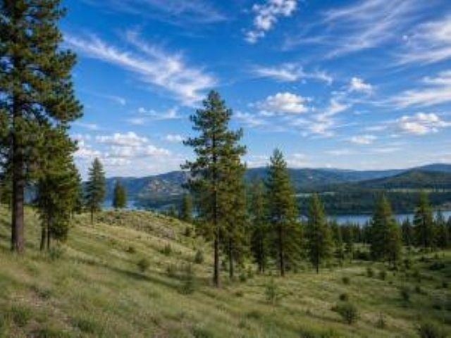 Land for sale in Kettle Falls, Washington