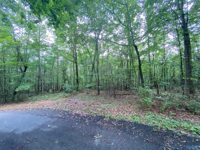 Land for sale in Flat Rock, Alabama
