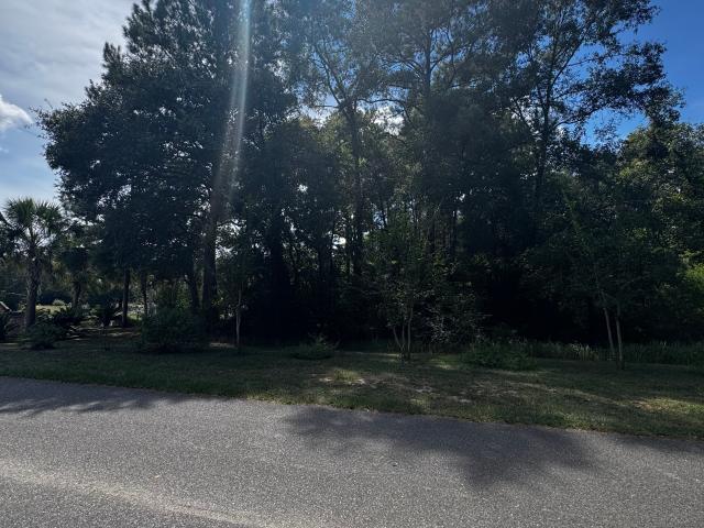Land for sale in Mount Vernon, Alabama