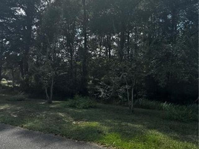 Land for sale in Mount Vernon, Alabama
