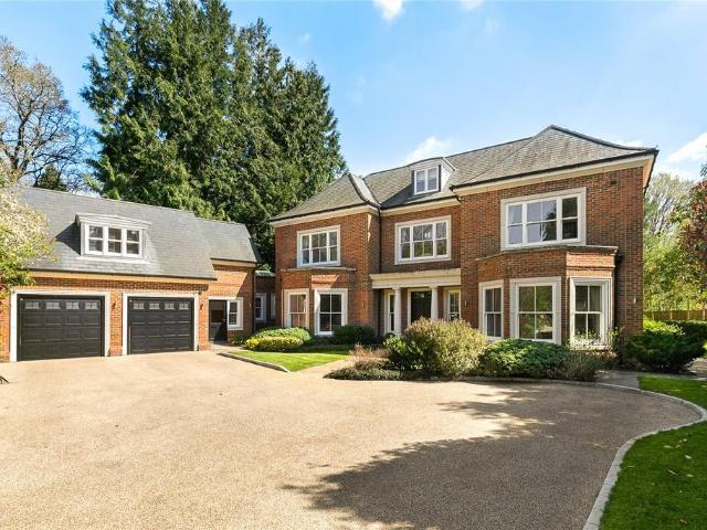 House for rent in Sunninghill and Ascot, South Ascot