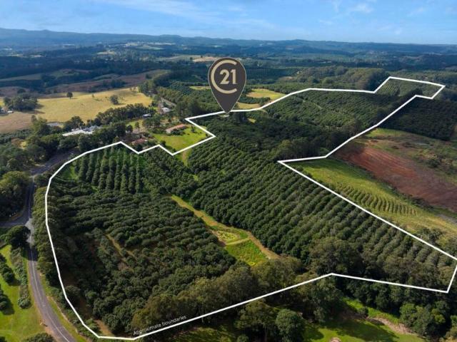 House for sale in Dunoon, New South Wales