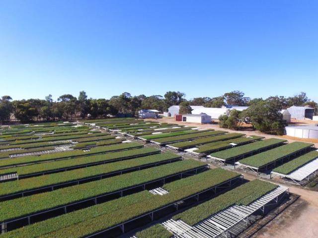 House for sale in Western Australia