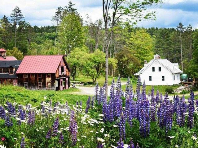 House for sale in Londonderry, Vermont