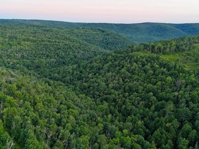 Land for sale in Beech Creek, Pennsylvania