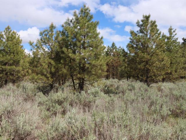 Land for sale in Mccall, Idaho