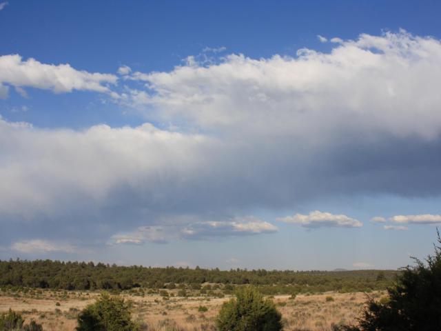 Land for sale in Ramah, New Mexico