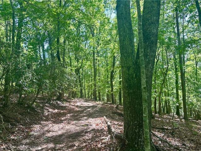 Land for sale in Dawsonville, Lumpkin County