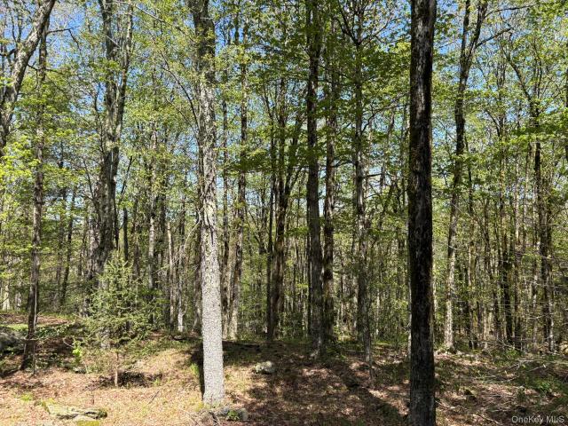 Land for sale in Roscoe, New York