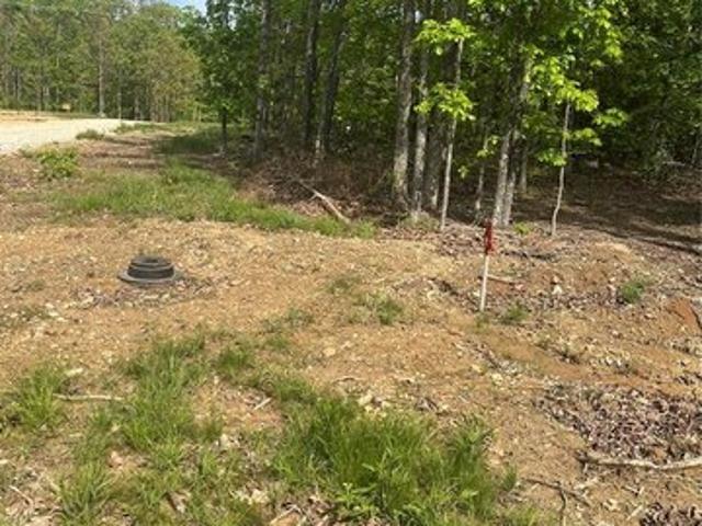 Land for sale in Salem, Missouri