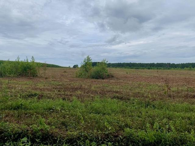 Land for sale in Flat Rock, Alabama