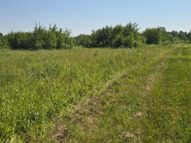 Land for sale in Wadena, Minnesota