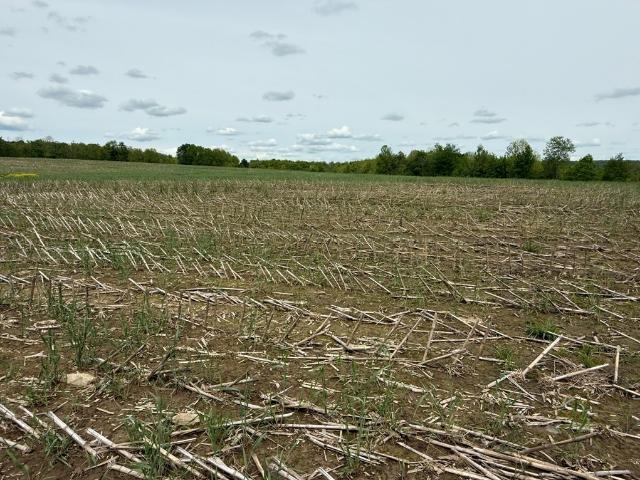 Land for sale in New York