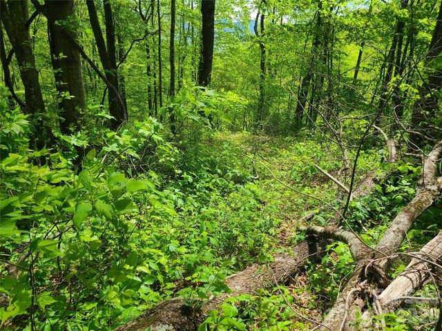 Land for sale in Haywood, North Carolina