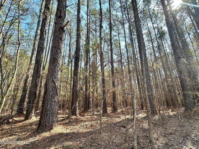 Land for sale in Carthage, Mississippi