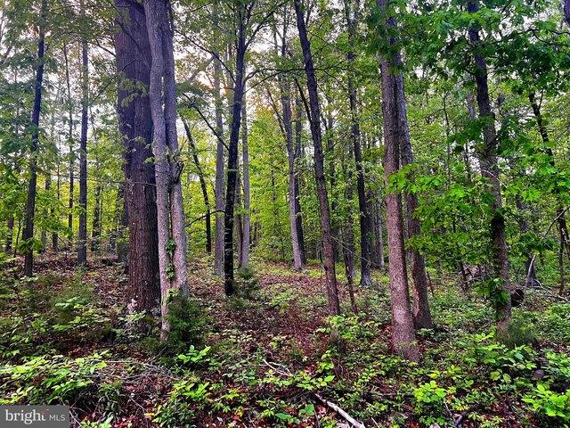 Land for sale in Hardy, West Virginia
