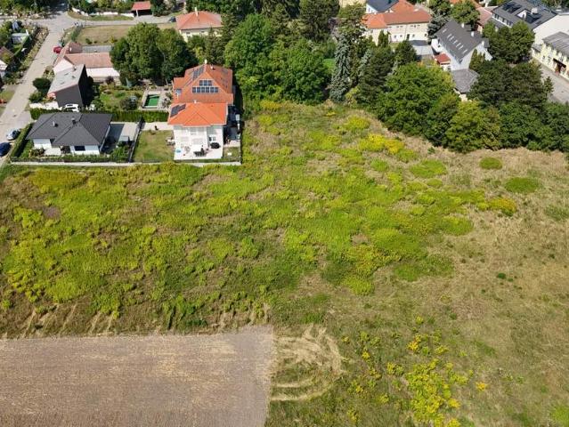 Grundstück kaufen in Korneuburg, Niederösterreich