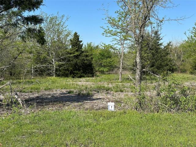 Land for sale in Fannin, Texas