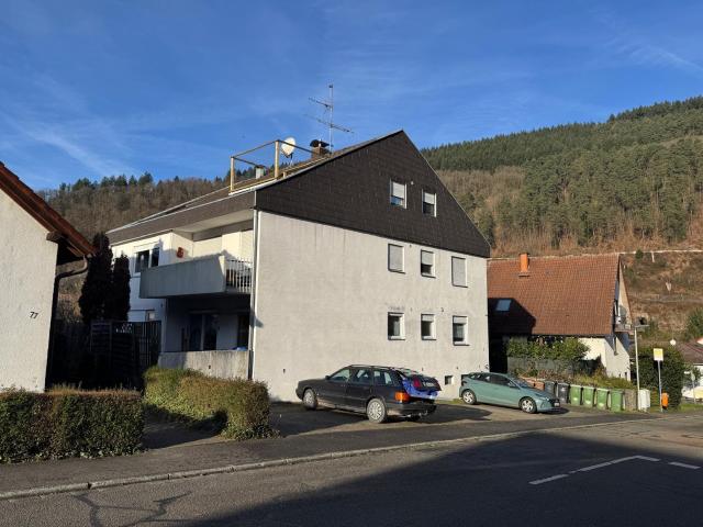 Mehrfamilienhaus kaufen in Hirschhorn, Hessen