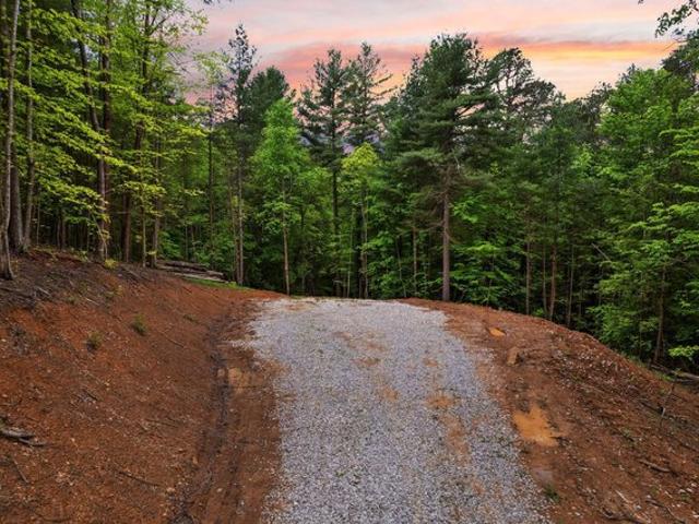 Land for sale in Campton, Wolfe County