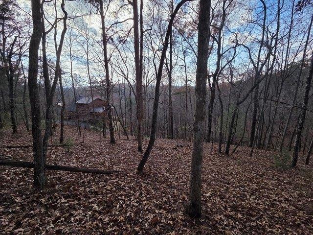 Land for sale in Georgia