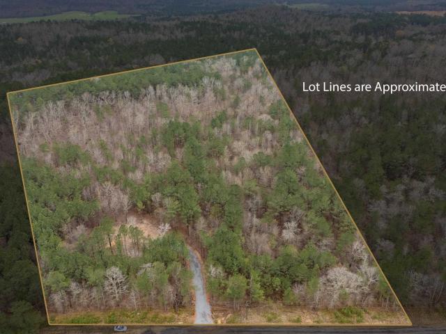 Land for sale in Ashville, Alabama