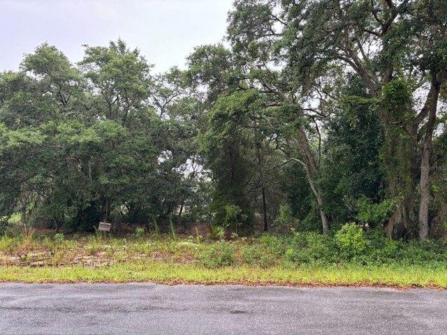 Land for sale in Ocklawaha, Florida