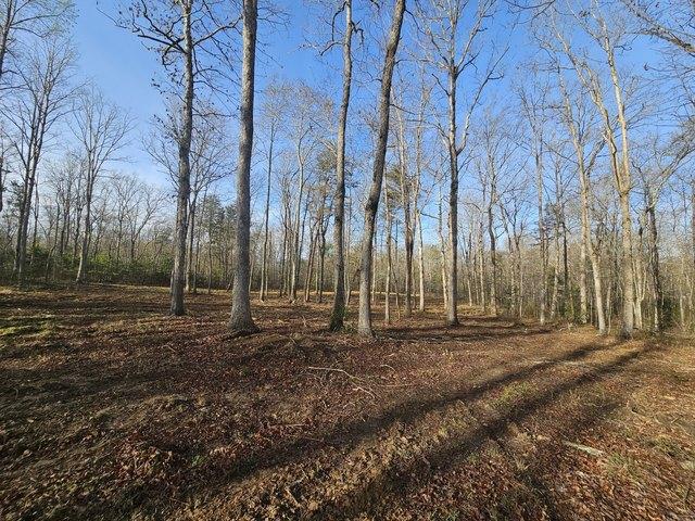 Land for sale in Tennessee