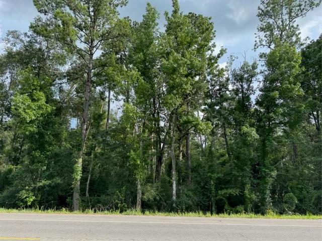 Land for sale in Walker, Louisiana