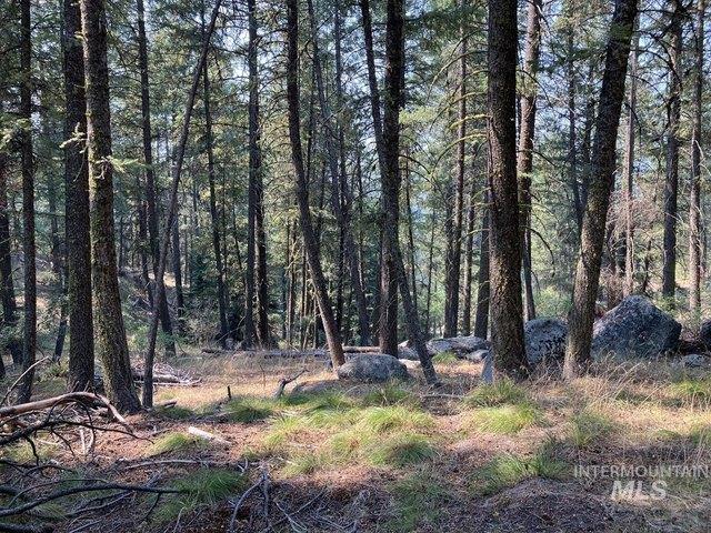 Land for sale in Cascade, Idaho