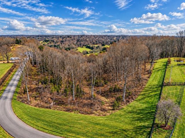 Land for sale in Lois, Lynchburg