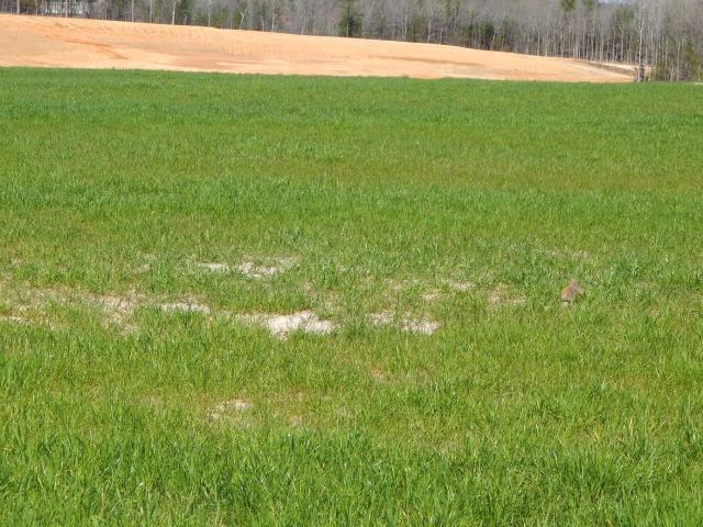 Land for sale in Grenada, Mississippi