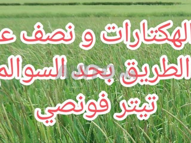 Propriété vente à Anfa, Gharb-Chrarda-Beni Hssen